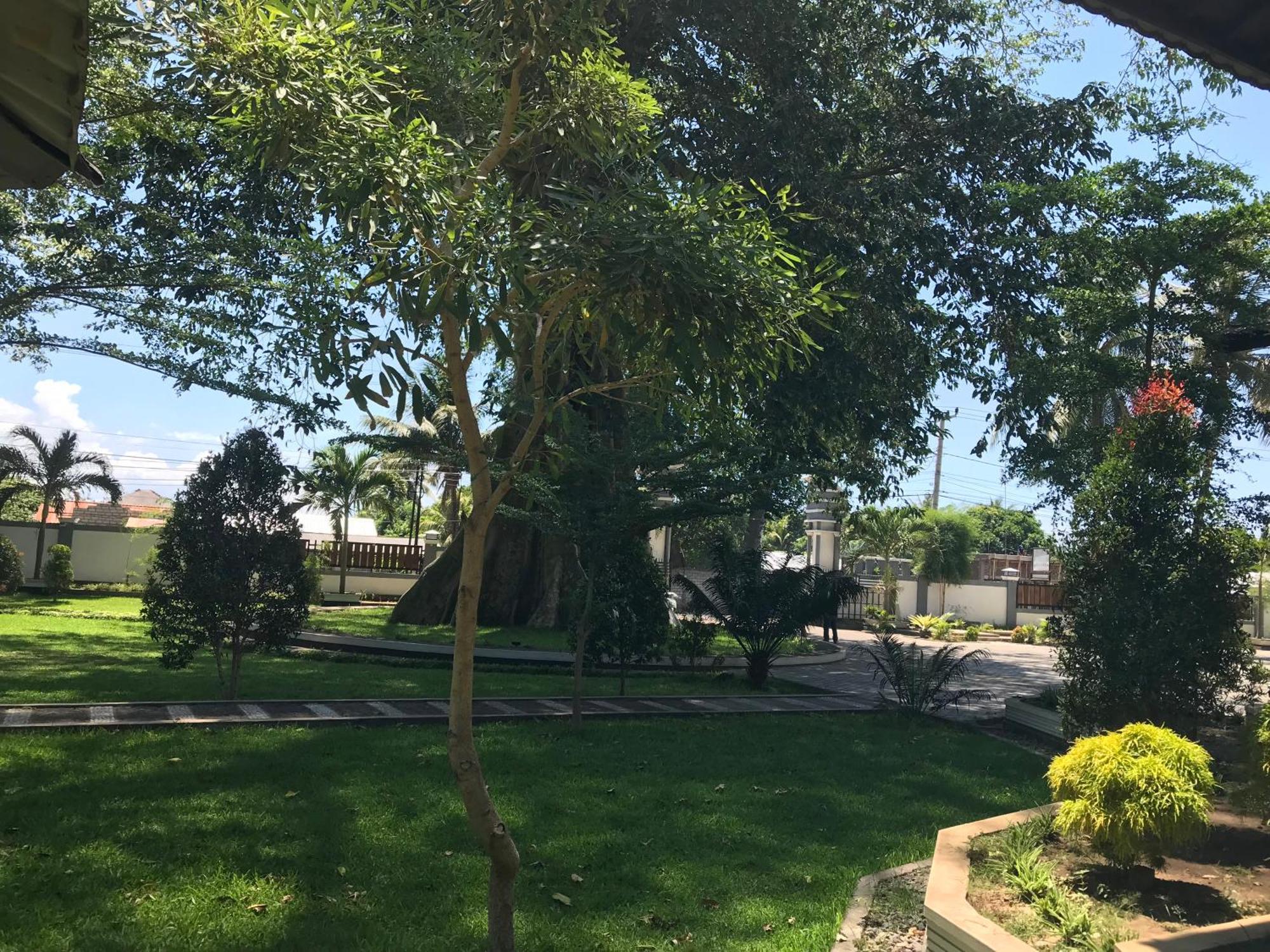 Pohon Purba Resort & Restaurant Labuhan Pandan المظهر الخارجي الصورة