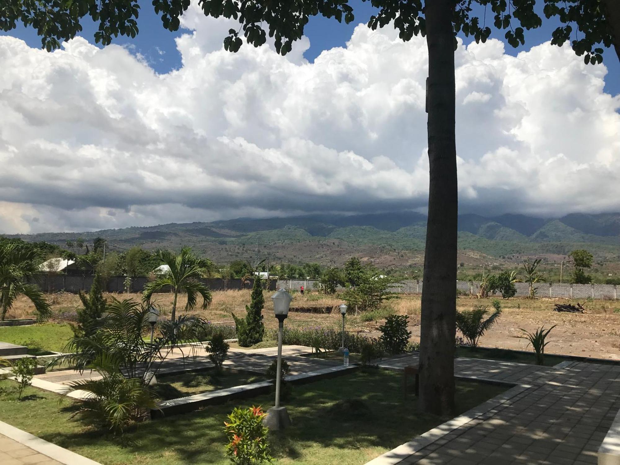 Pohon Purba Resort & Restaurant Labuhan Pandan المظهر الخارجي الصورة