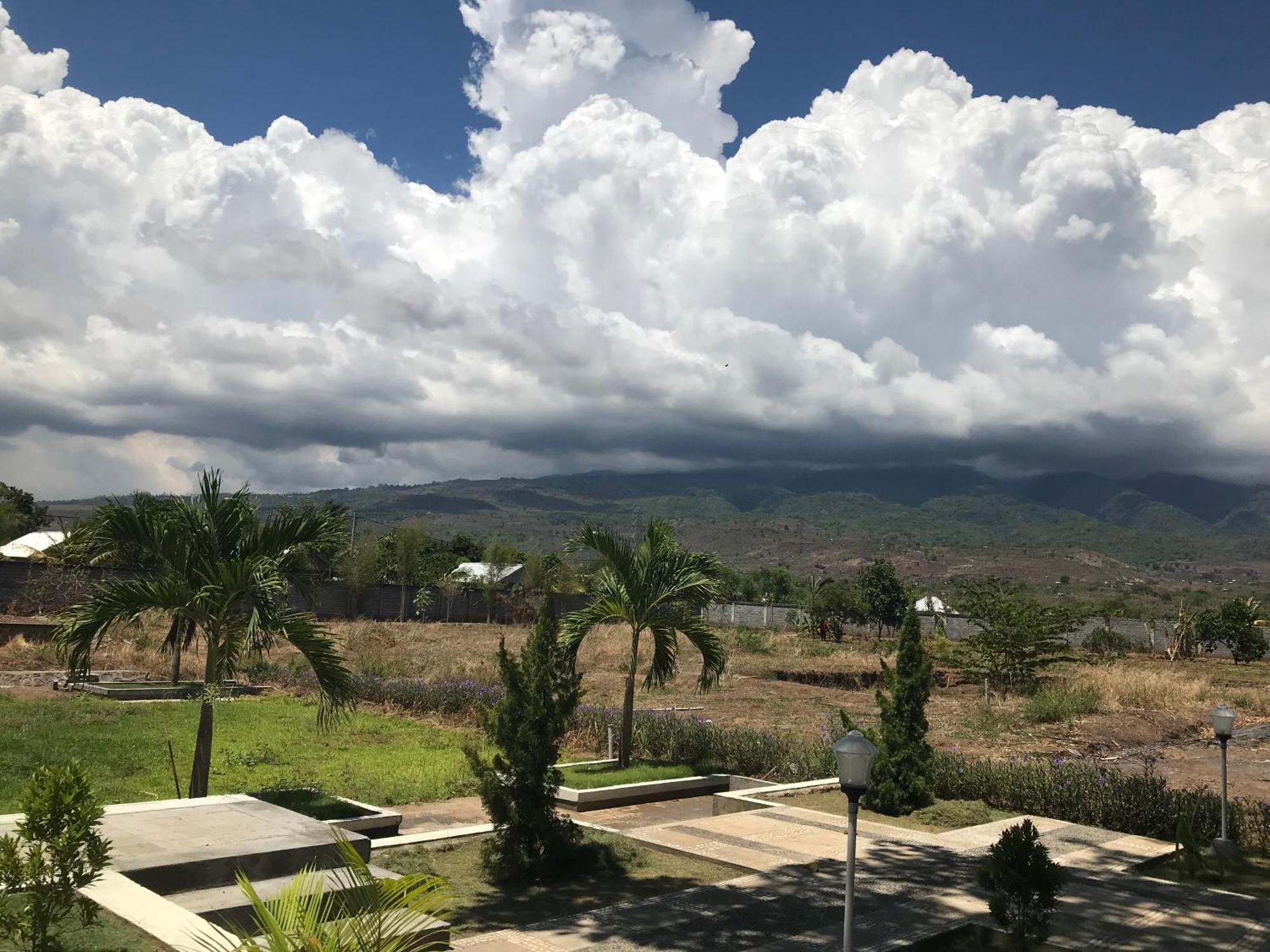 Pohon Purba Resort & Restaurant Labuhan Pandan المظهر الخارجي الصورة