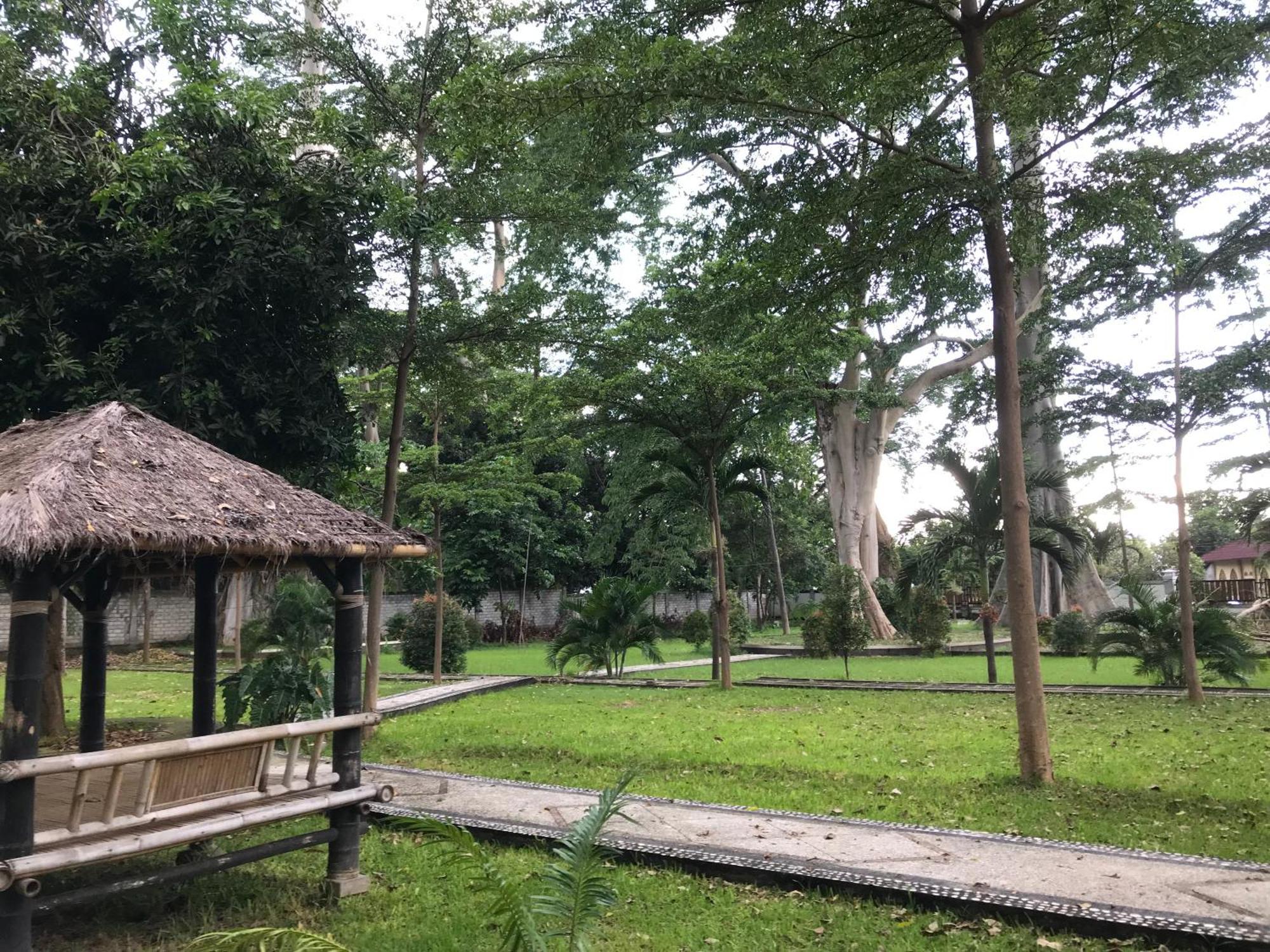 Pohon Purba Resort & Restaurant Labuhan Pandan المظهر الخارجي الصورة