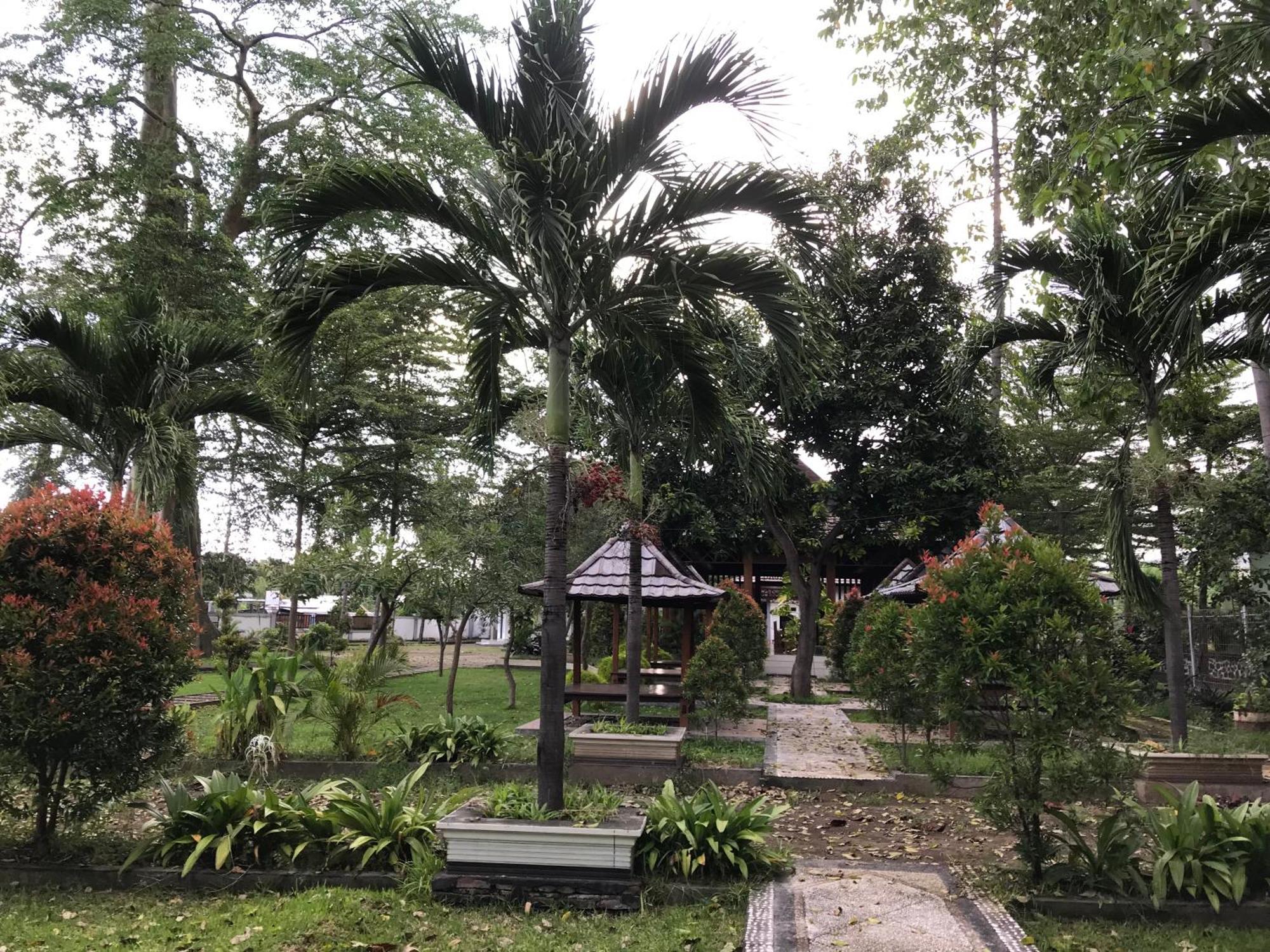 Pohon Purba Resort & Restaurant Labuhan Pandan المظهر الخارجي الصورة