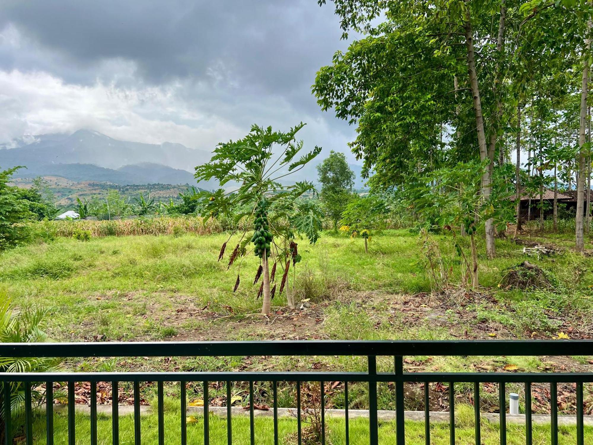 Pohon Purba Resort & Restaurant Labuhan Pandan المظهر الخارجي الصورة