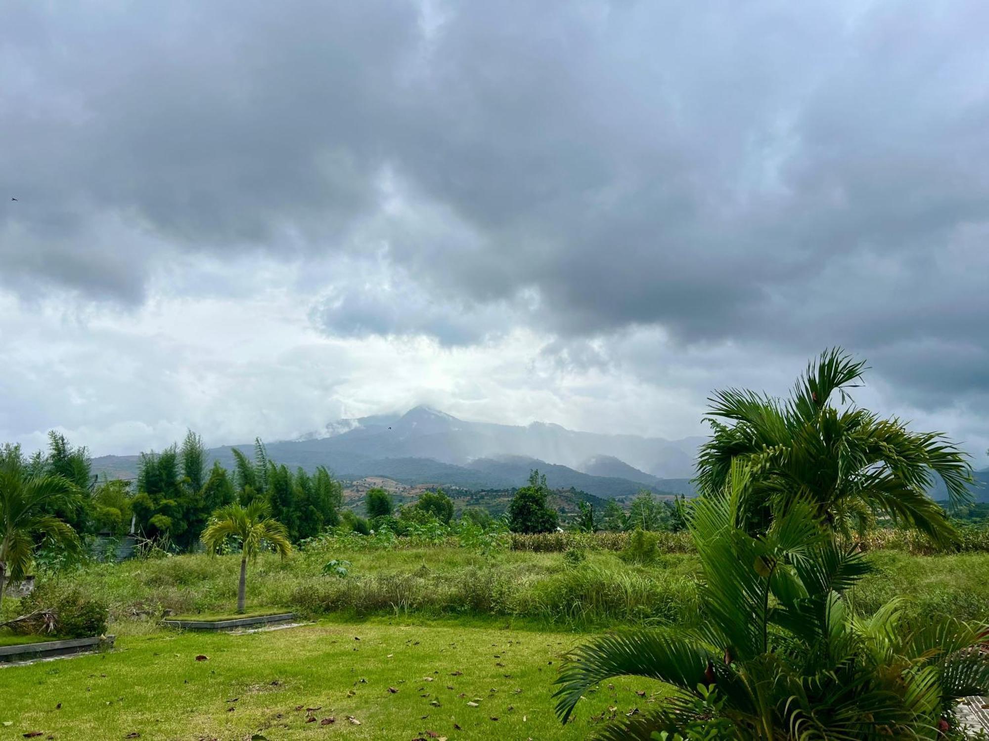 Pohon Purba Resort & Restaurant Labuhan Pandan المظهر الخارجي الصورة